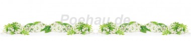 backgrounds/Dies+Das/AvS9766IL0299A