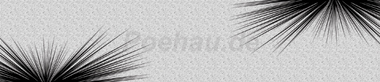 backgrounds/Grafik/AvS190722VL0002