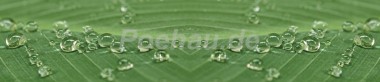 backgrounds/Natur/AvS11601IL1225B