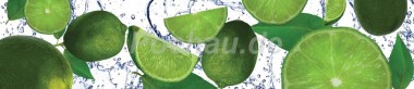 backgrounds/Splash/AvS12871IL0065